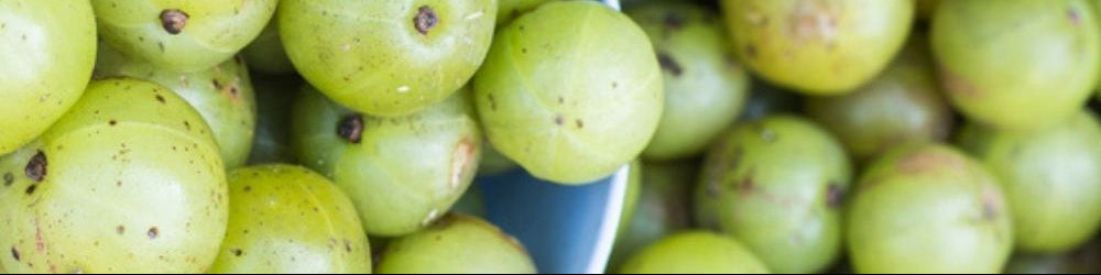 Close-up of green amla fruits piled together in a blue bowl, with some fruits softly blurred in the background.