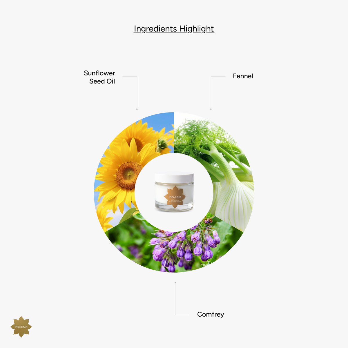 Botanical Moisture Cream